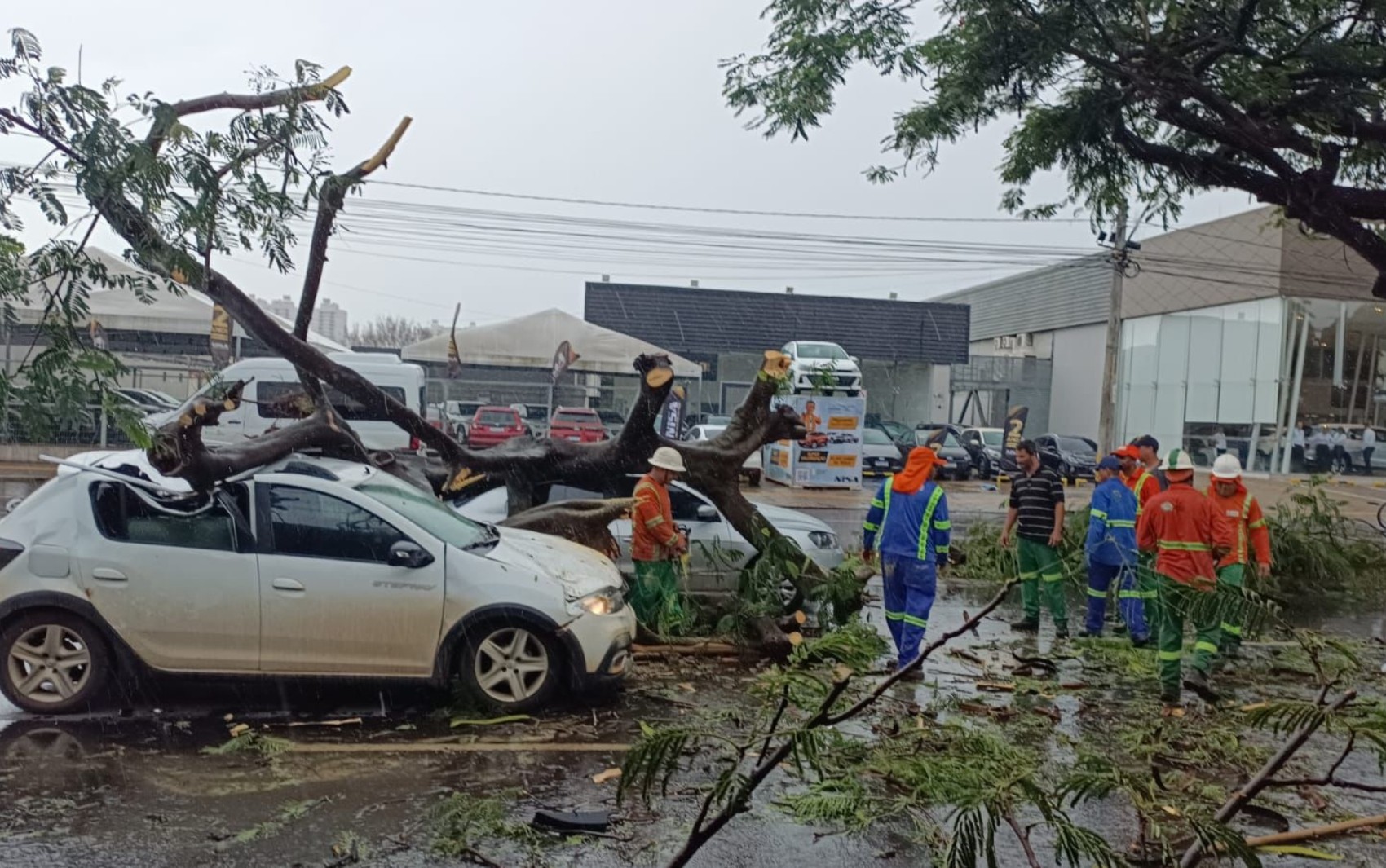 Árvore cai sobre dois carros na Avenida Independência e assusta motoristas