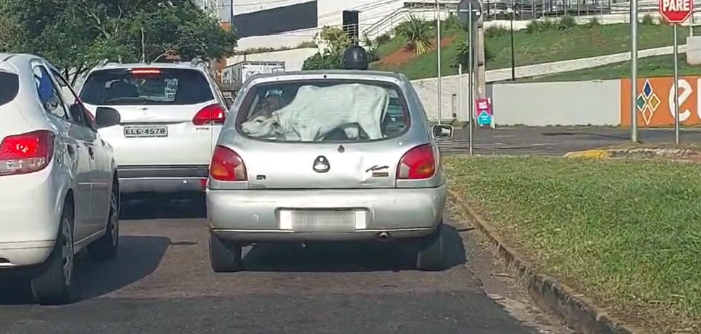 Bezerro foi flagrado sendo transportado no porta-malas de um carro de passeio em uma das avenidas mais movimentadas de Presidente Prudente (SP) na tarde desta sexta-feira (3) — Foto: Cedida