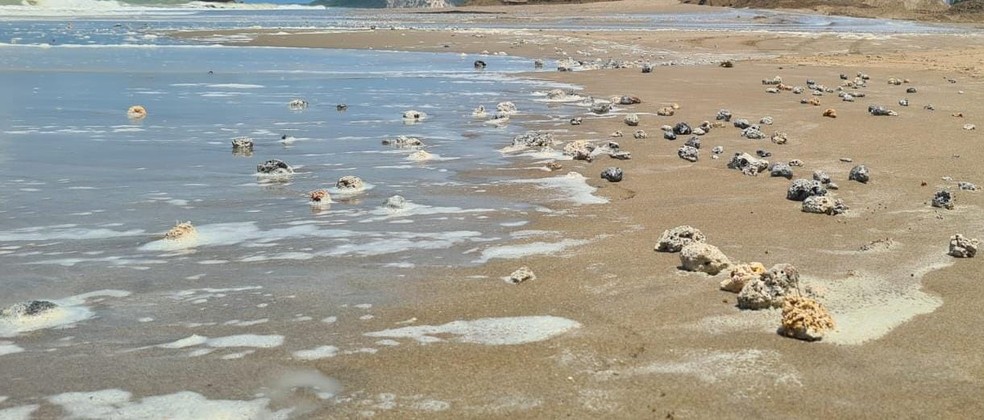 Rodolitos encontrados na areia de Ponta Negra durante e após engorda da praia — Foto: Fernanda Zauli/g1
