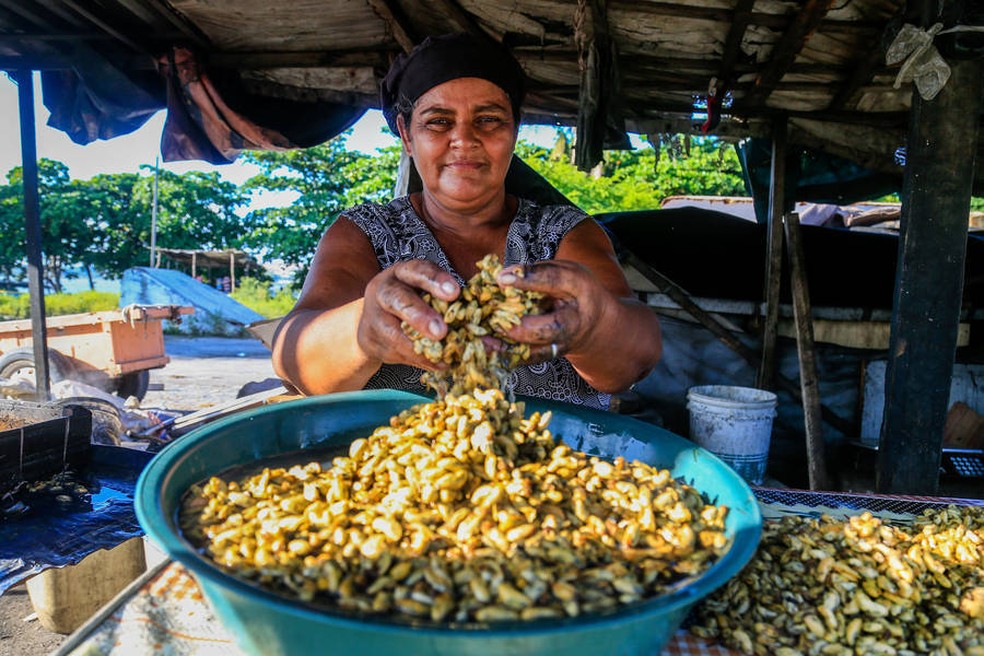 Cerca de 400 pessoas no entorno da lagoa Mundaú dependem da pesca do sururu para sobreviver — Foto: Ailton Cruz/Gazeta de Alagoas