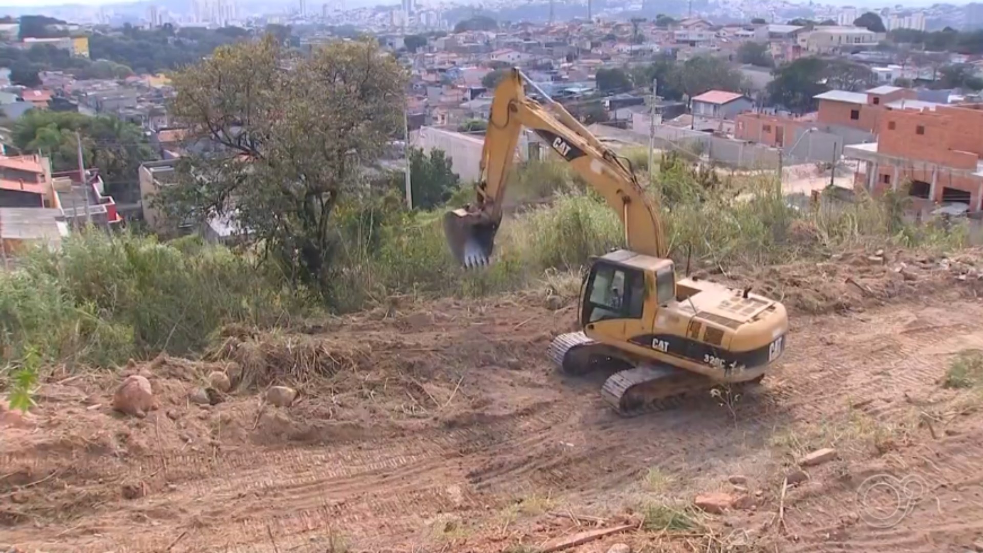 Entenda o que são aceiros e como eles ajudam a prevenir queimadas durante a seca