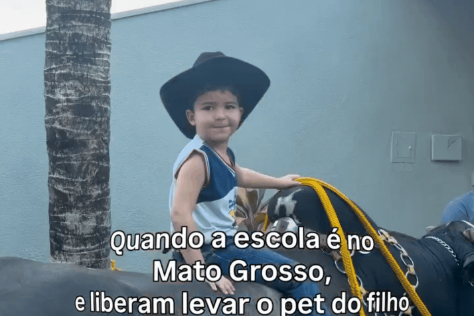 Vídeo: menino de 3 anos chega à escola de MT montado em boi de 600 kg 