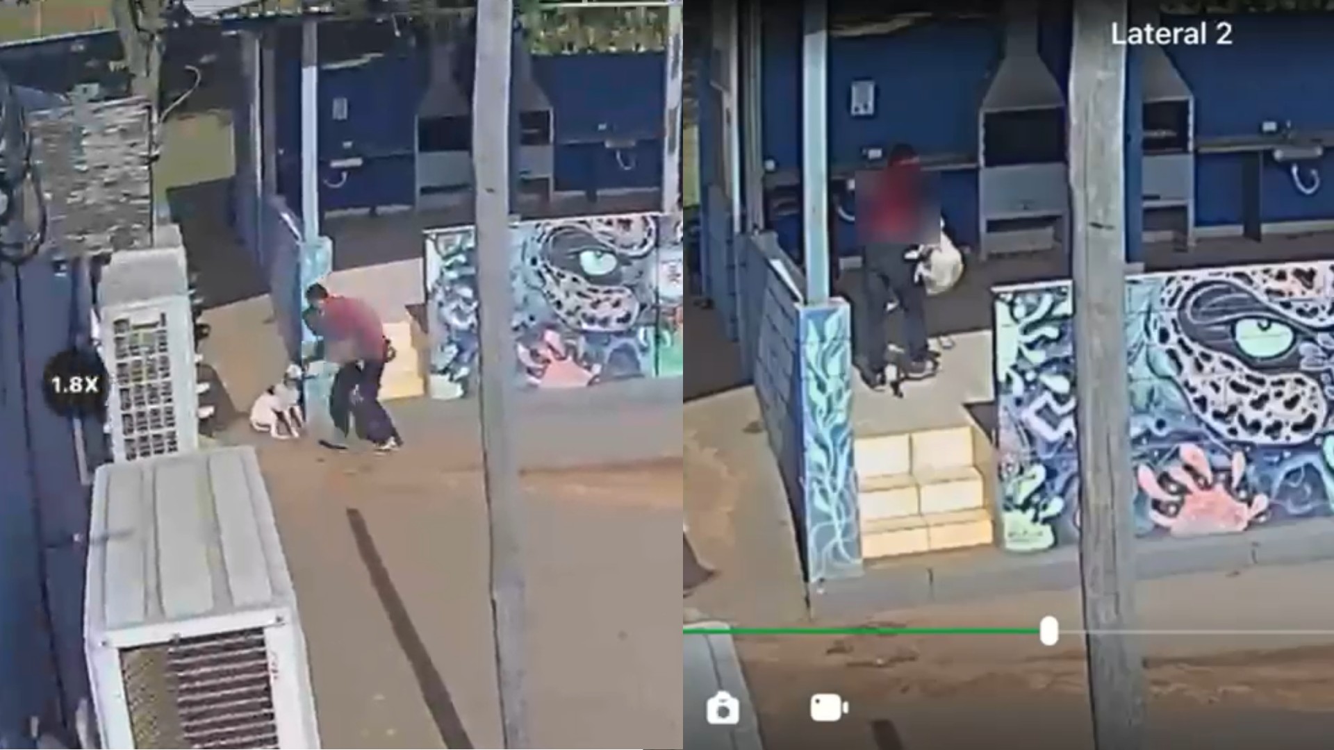 VÍDEO: homem é denunciado por maus-tratos após ser flagrado arremessando cão no chão em Boituva
