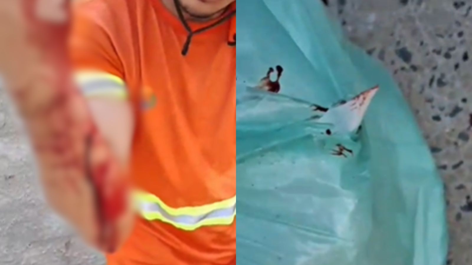 Gari sofre corte no braço ao recolher sacola com prato quebrado