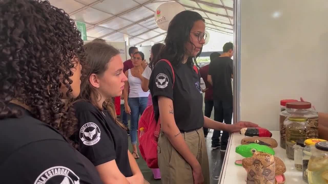 VÍDEOS: Gazeta Rural deste domingo, 20 de outubro