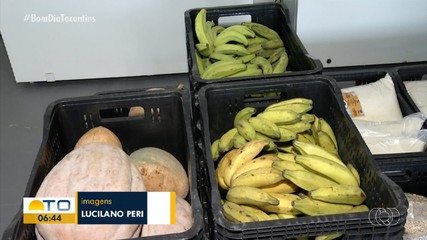 Mais de 500 famílias vulneráveis recebem alimentos da agricultura familiar em Palmas