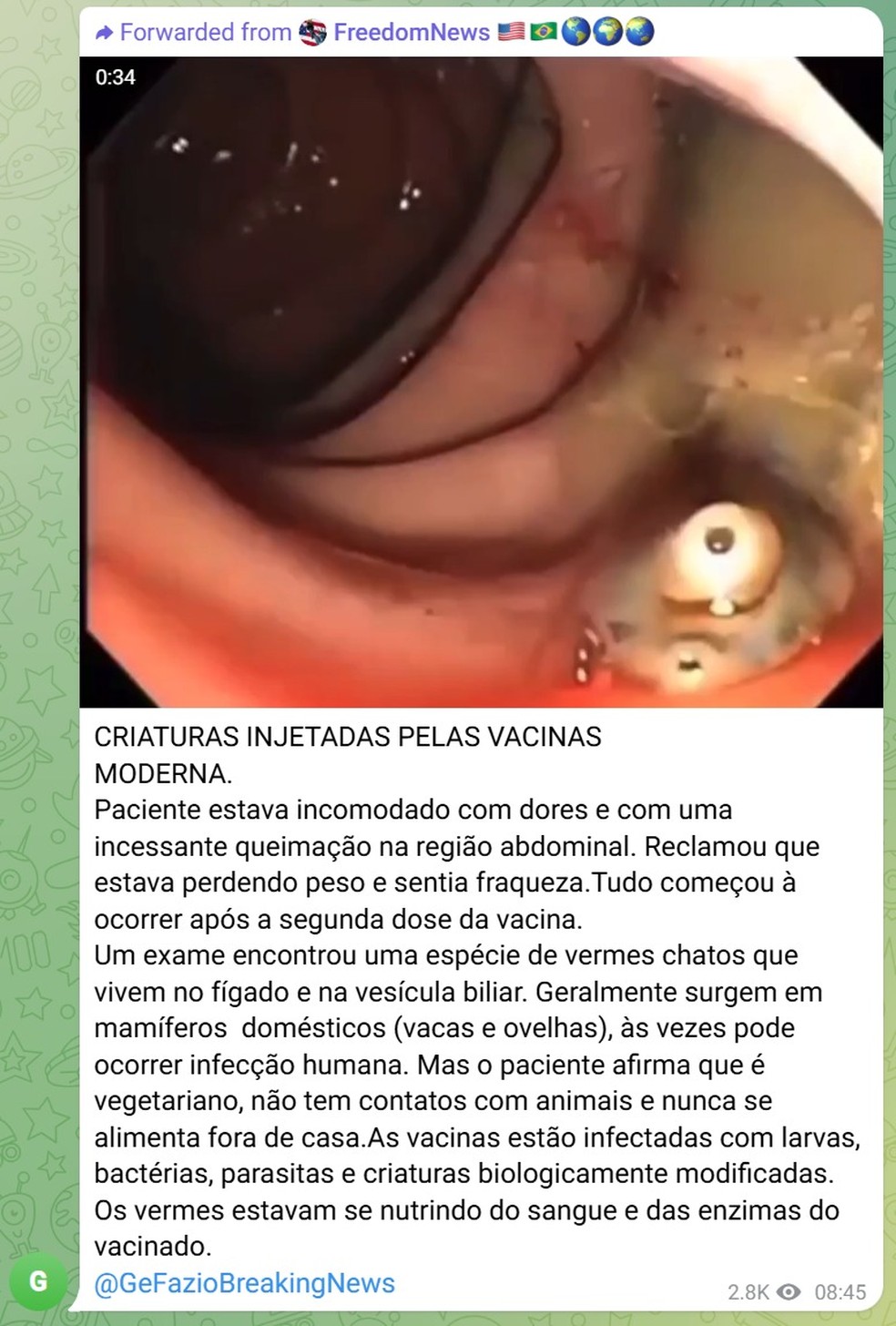  — Foto: Reprodução/Telegram
