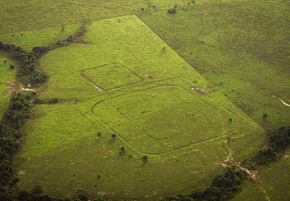 Geoglifo localizado em Boca do Acre — Foto: Diego Gurgel
