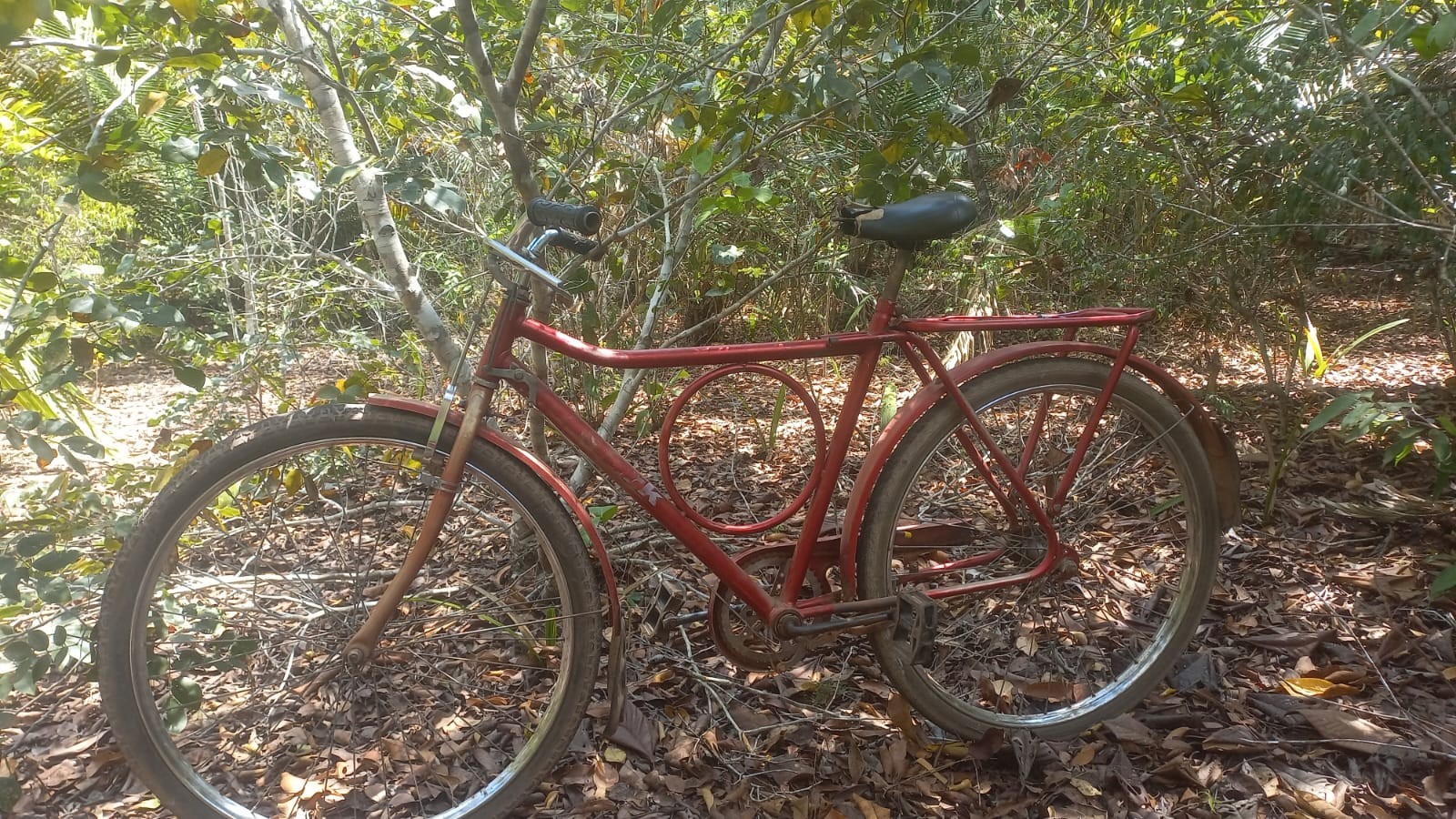 VÍDEO: Jovem 'pega' bicicleta para não se atrasar, se arrepende e pede perdão ao dono em Santarém