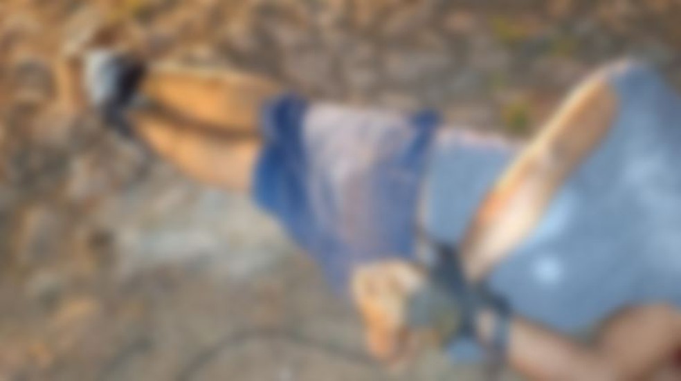 Homem foi morto a tiros no Parque Potira II, em Caucaia, na Região Metropolitana de Fortaleza. — Foto: Arquivo pessoal