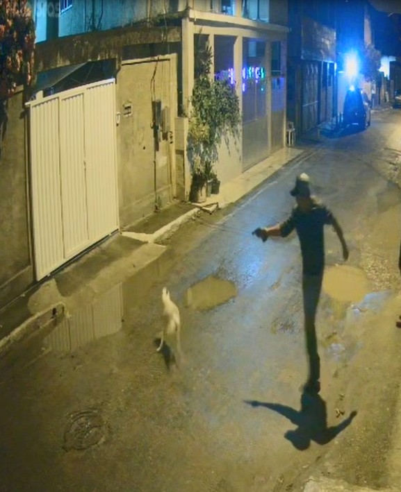 Homem mata cachorro a tiros em Magé, no RJ; VÍDEO