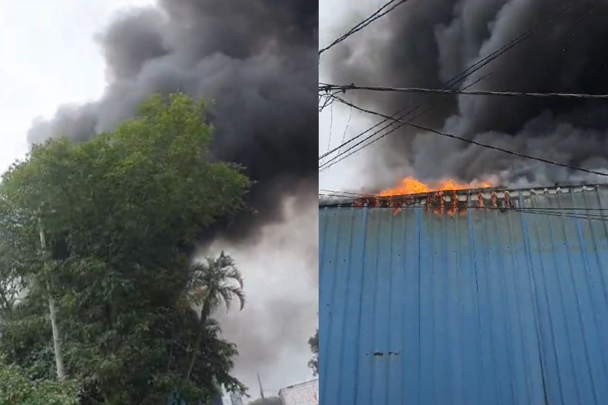 Incêndio atinge fábrica de pães congelados no litoral de São Paulo; VÍDEO