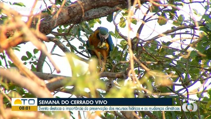 Semana no Cerrado Vivo destaca mudanças climáticas e importância dos recursos hídricos