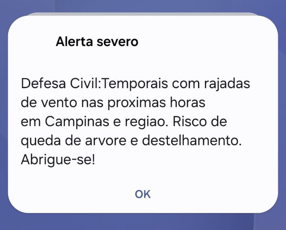 Defesa Civil emitiu alerta sobre risco de temporais com rajadas de vento em Campinas e região na tarde desta segunda (22) — Foto: Reprodução