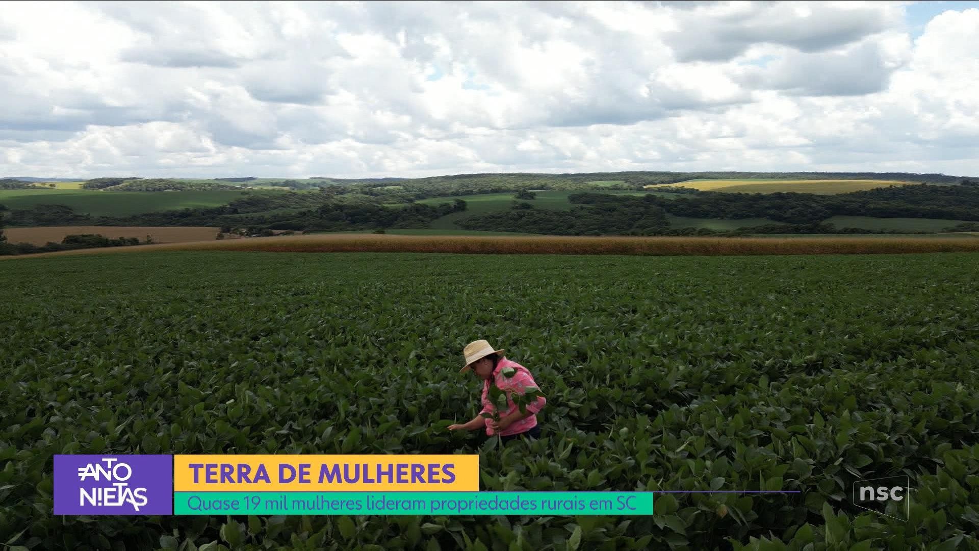 VÍDEOS: NSC Notícias de quarta-feira, 4 de fevereiro de 2026 