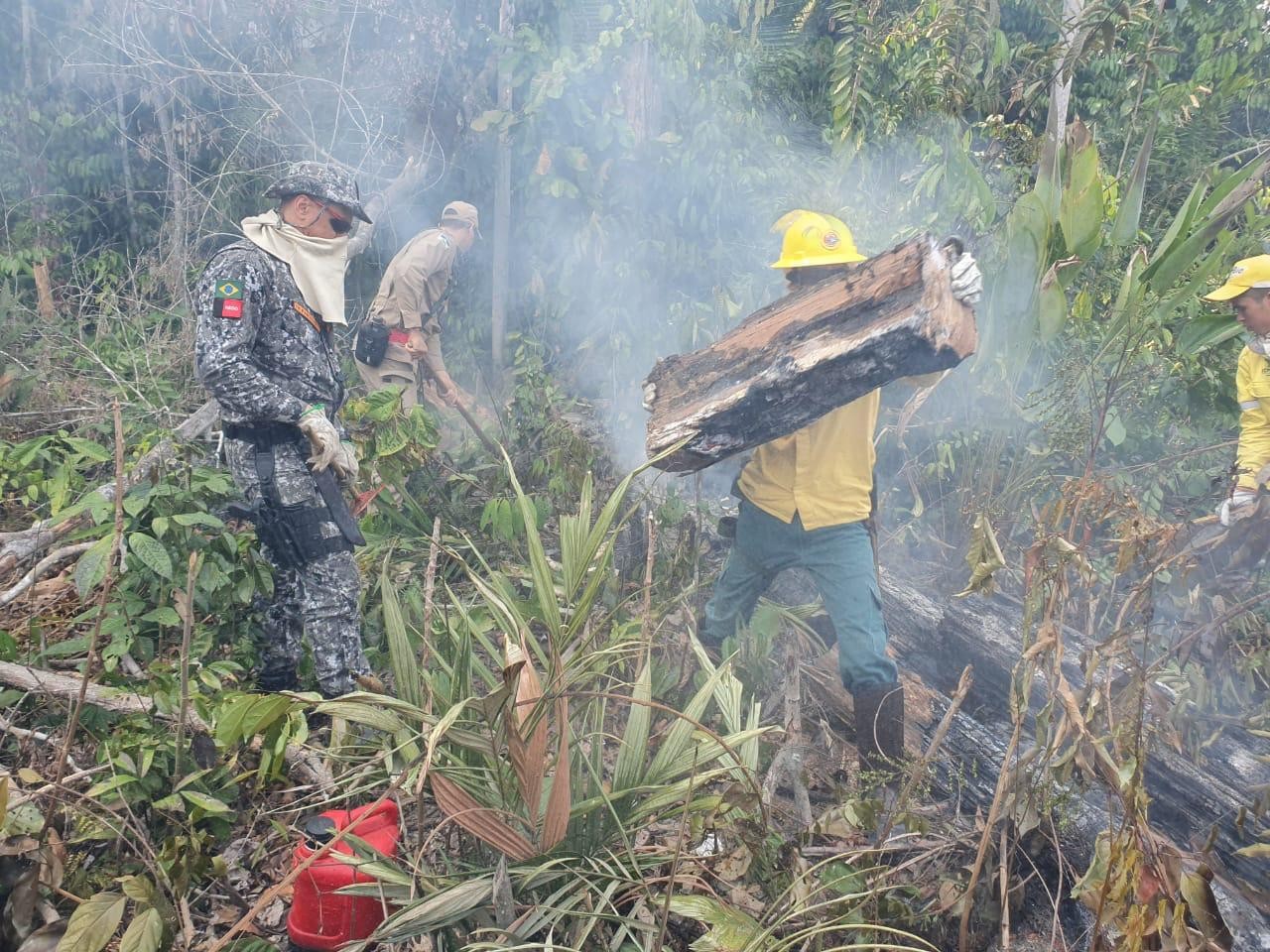 Corpo de Bombeiros abre seleção para brigadistas temporários durante época de queimadas em RO 