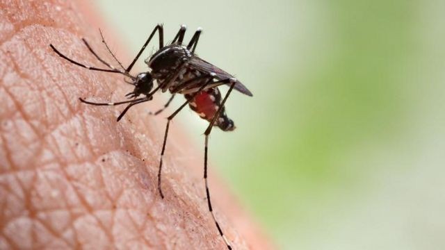 Barra do Piraí confirma morte por dengue