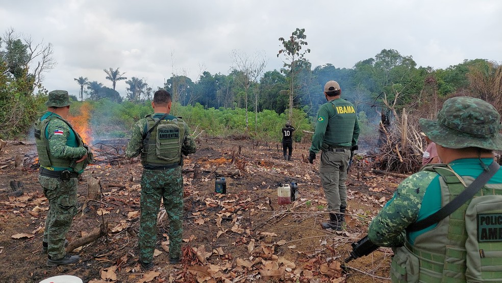 Ibama aplica mais de R$ 1 milhão de multa devido desmatamento ilegal. — Foto: Divulgação
