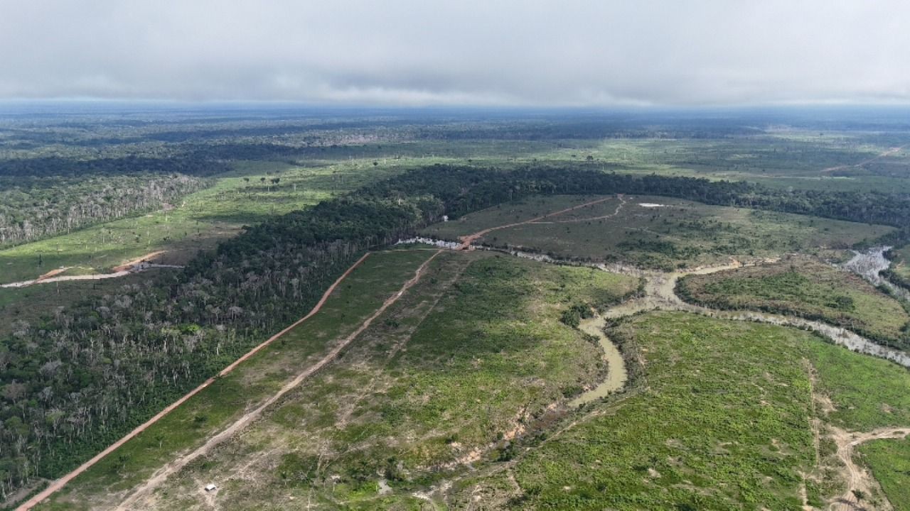 Maior desmatamento do ano no AM resulta em multa de R$ 24,3 milhões, diz Ipaam