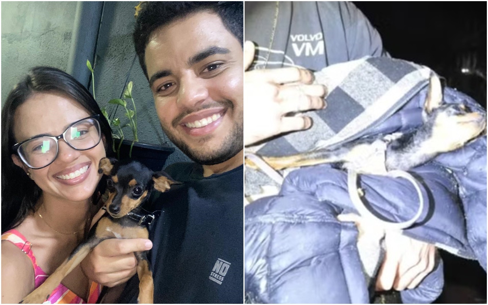 Cadela de estudante de medicina que morreu em acidente passou por cirurgia na coluna e está triste após perder tutora, diz marido
