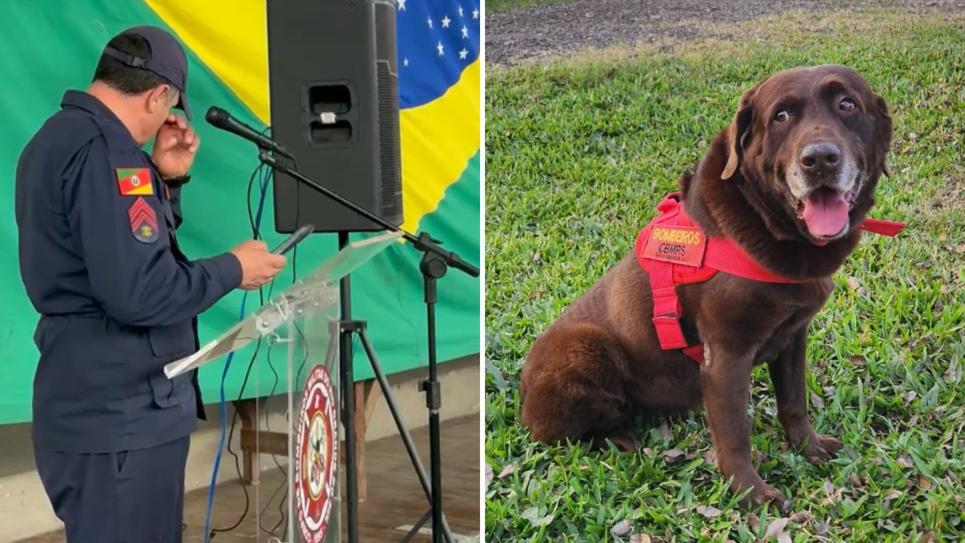 VÍDEO: Bombeiro se emociona em despedida a cão que atuou em nas enchentes do RS e em resgates de Brumadinho