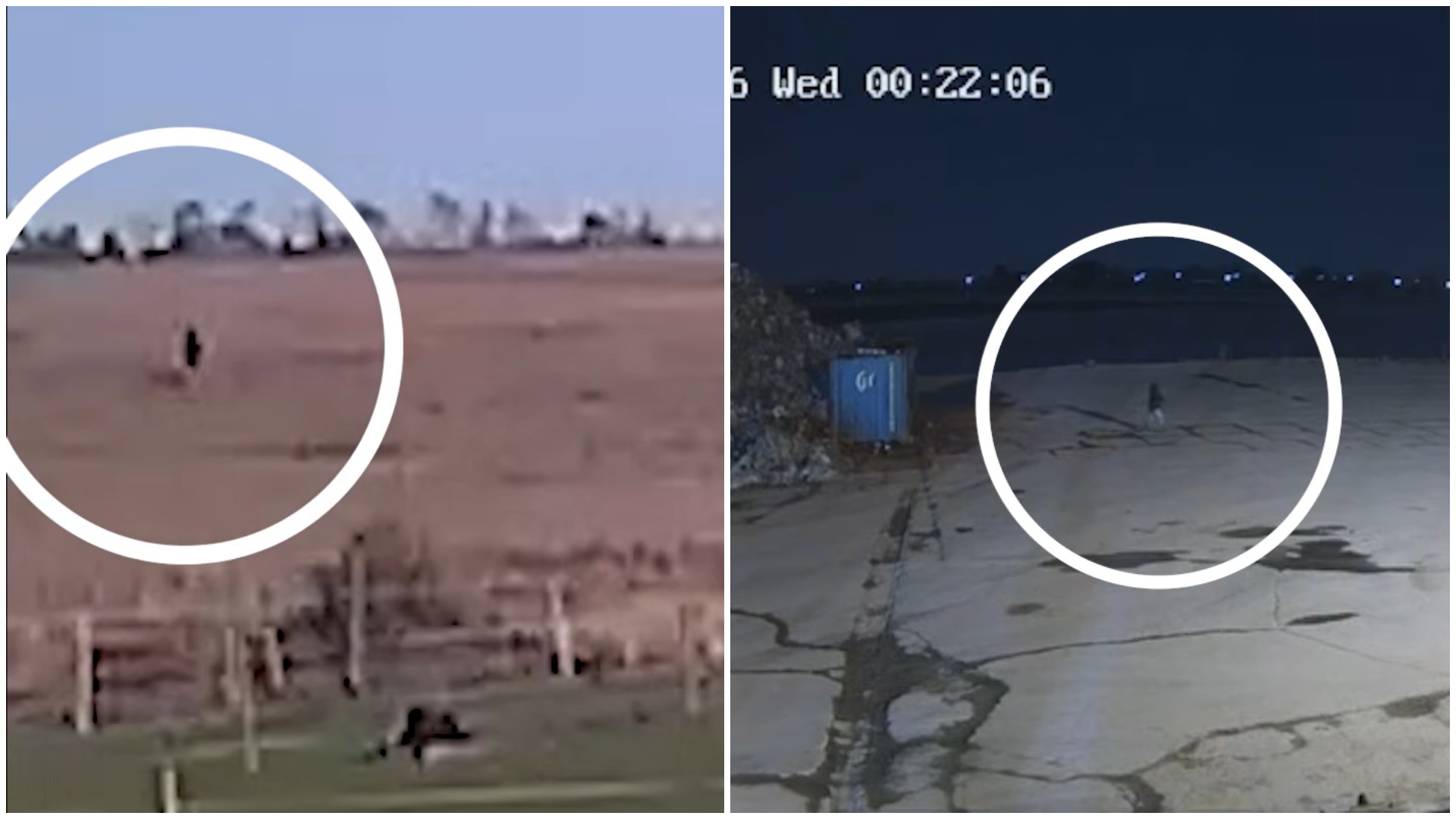 Caso Vitória: desaparecimento de brasileira na Inglaterra completa um mês