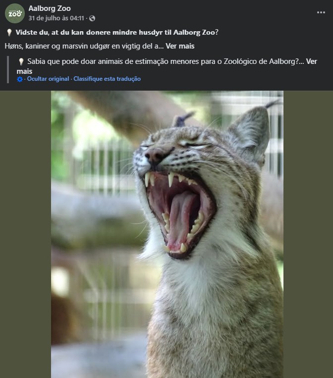 Zoológico na Dinamarca causa polêmica ao pedir doações de animais de estimação para alimentar seus predadores