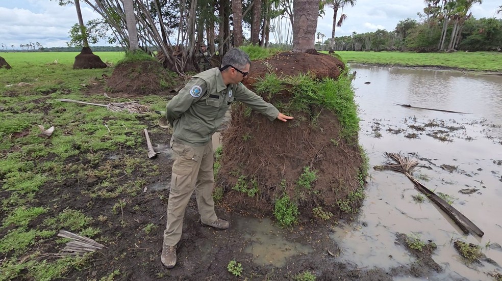 Analista do ICMBio mostra onde deveria estar o solo compactado por búfalos em Rondônia — Foto: Vinicius Assis/Rede Amazônica
