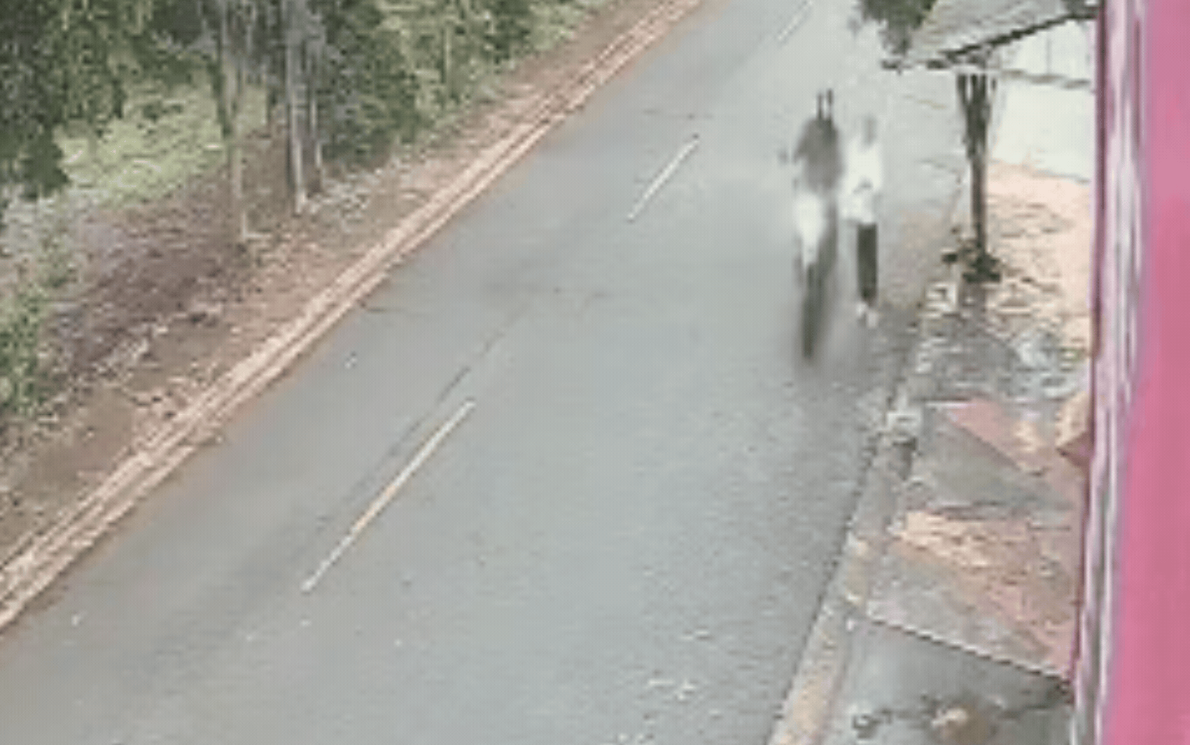 Motociclista derruba mulher de cabeça no chão ao tentar arrancar mochila em Ribeirão Preto, SP; VÍDEO