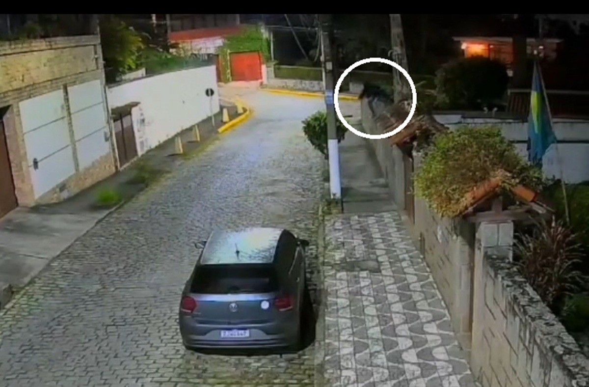 'Mulher gato' rouba casas durante a madrugada em bairros de Teresópolis