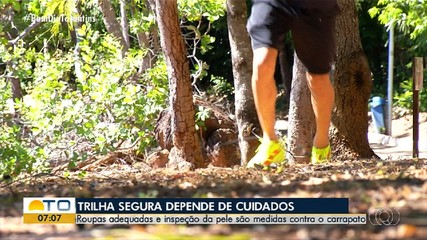 Saiba como evitar carrapatos em atividades ao ar livre
