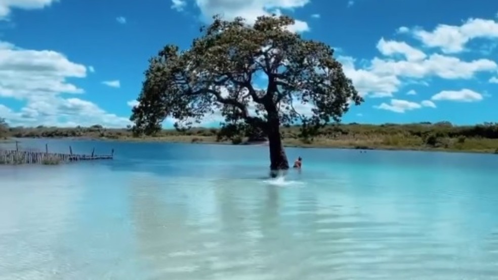 Lagoa sazonal no Ceará oferece vista deslumbrante com águas cristalinas — Foto: Lagoa do Videl/Divulgação