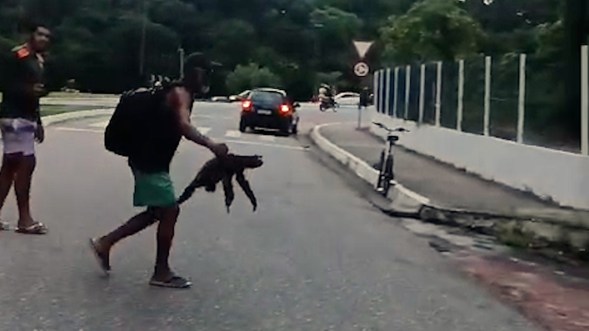 Bicho-preguiça é resgatado ao tentar atravessar avenida em João Pessoa; vídeo