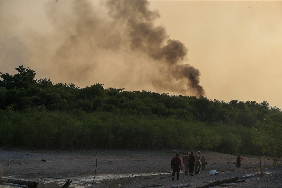 Incêndio atinge área de floresta em Iranduba, no Amazonas — Foto: Mauro Neto/Secom