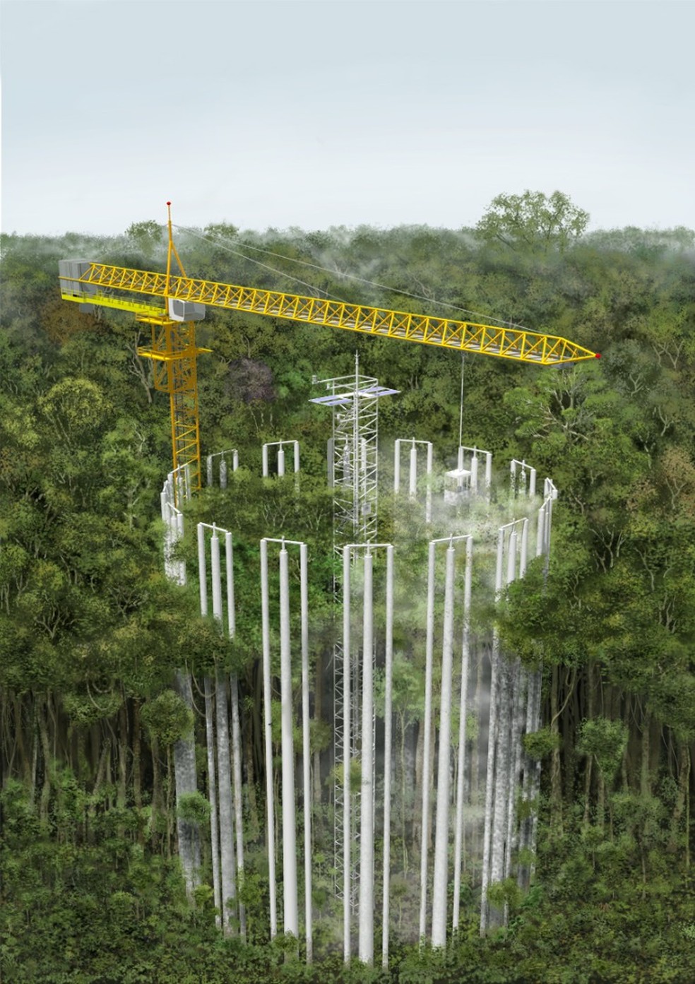 Estrutura conta com seis anéis compostos por 16 torres de alumínio de 35 metros de altura — Foto: Instituto Nacional de Pesquisas da Amazônia/Reprodução