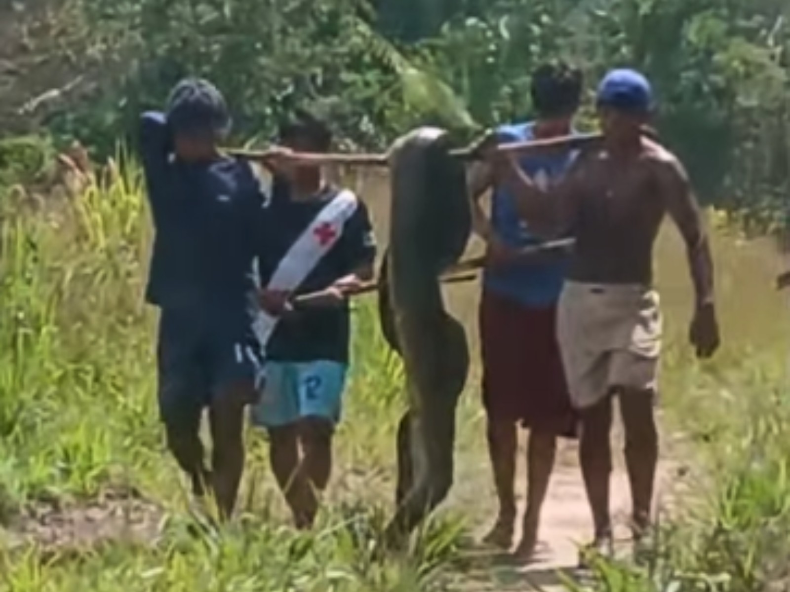 VÍDEO: Indígenas encontram sucuri de mais de 2 metros durante banho em açude no Acre