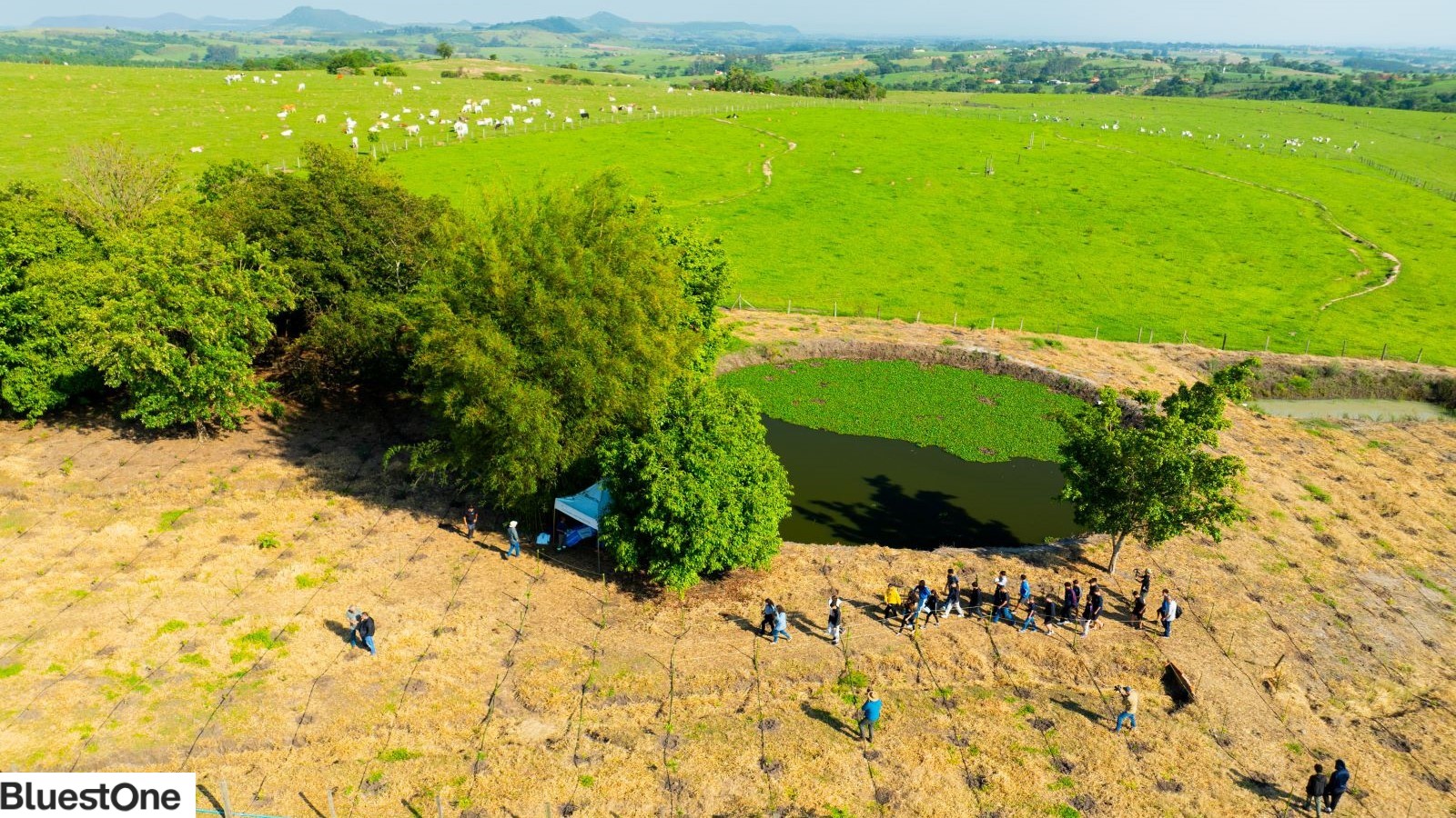 Projeto da BluestOne envolve alunos na recuperação de nascentes em Saltinho (SP)