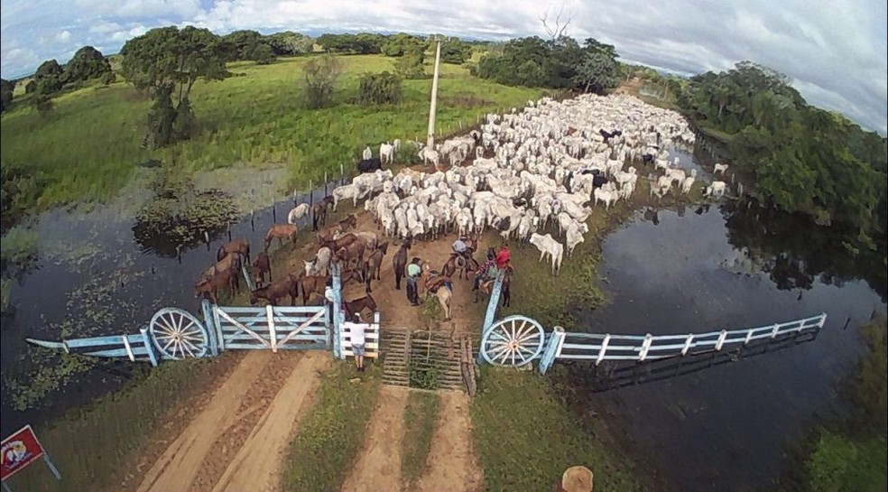 G1 - No Pantanal de MS, cavalgada entre fazendas pode durar até uma semana  - notícias em Mato Grosso do Sul