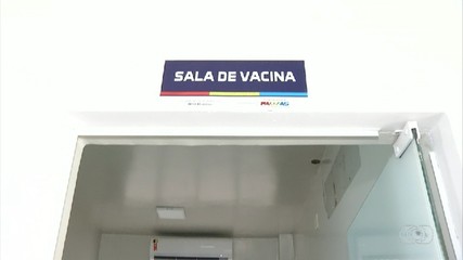 Imunizados contra a dengue há três meses já podem concluir o ciclo vacinal em Palmas