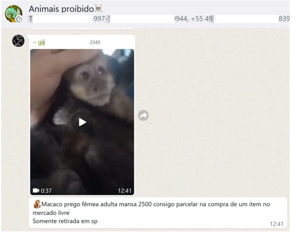 Vendedores oferecem item falso no Mercado Livre para facilitar pagamento por animais silvestres &mdash; Foto: Renctas
