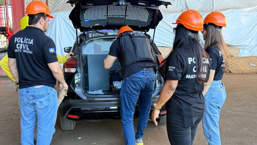 Dinheiro apreendido pelos policiais foi encaminhado para incineração — Foto: Polícia Civil