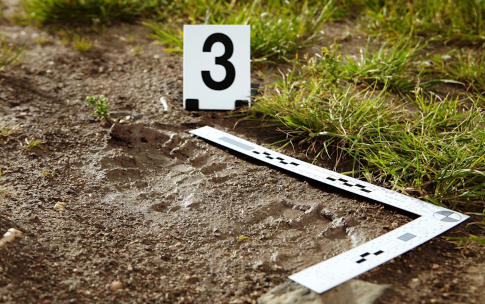 Pedologia forense: como é a disciplina da Unesp Jaboticabal que ensina a investigar o solo em contextos criminais