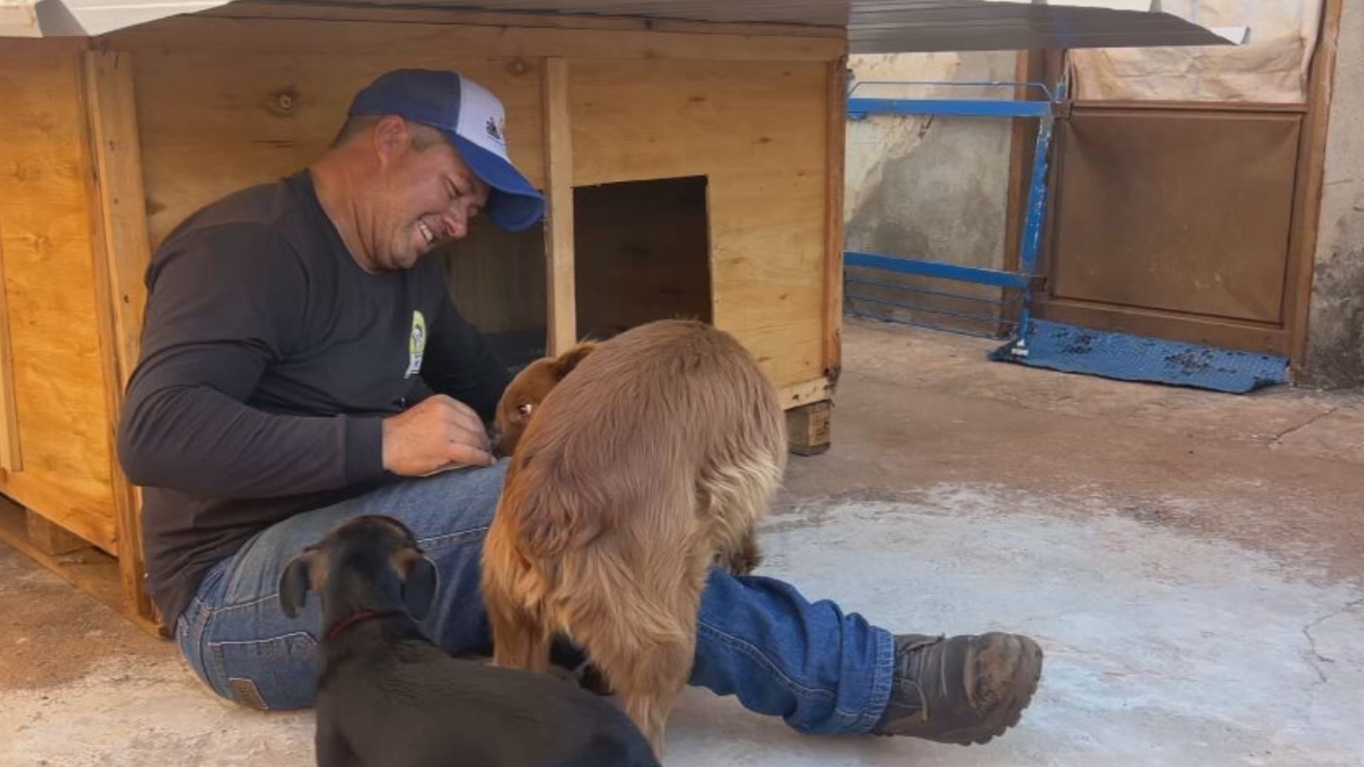 Caminhoneiro transforma terreno em oficina e constrói mais de 1,7 mil casinhas para proteger do frio cães e gatos abandonados