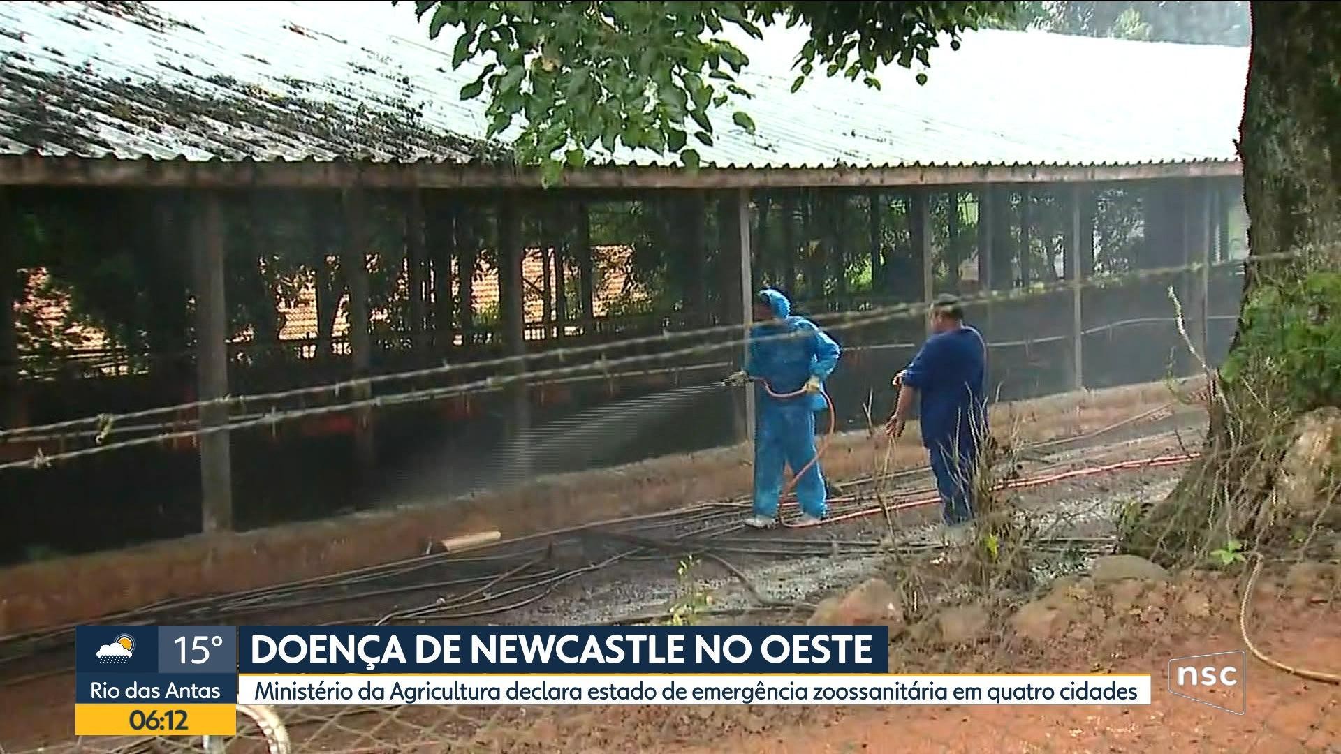 VÍDEOS: Bom Dia Santa Catarina de sexta-feira, 23 de outubro de 2026