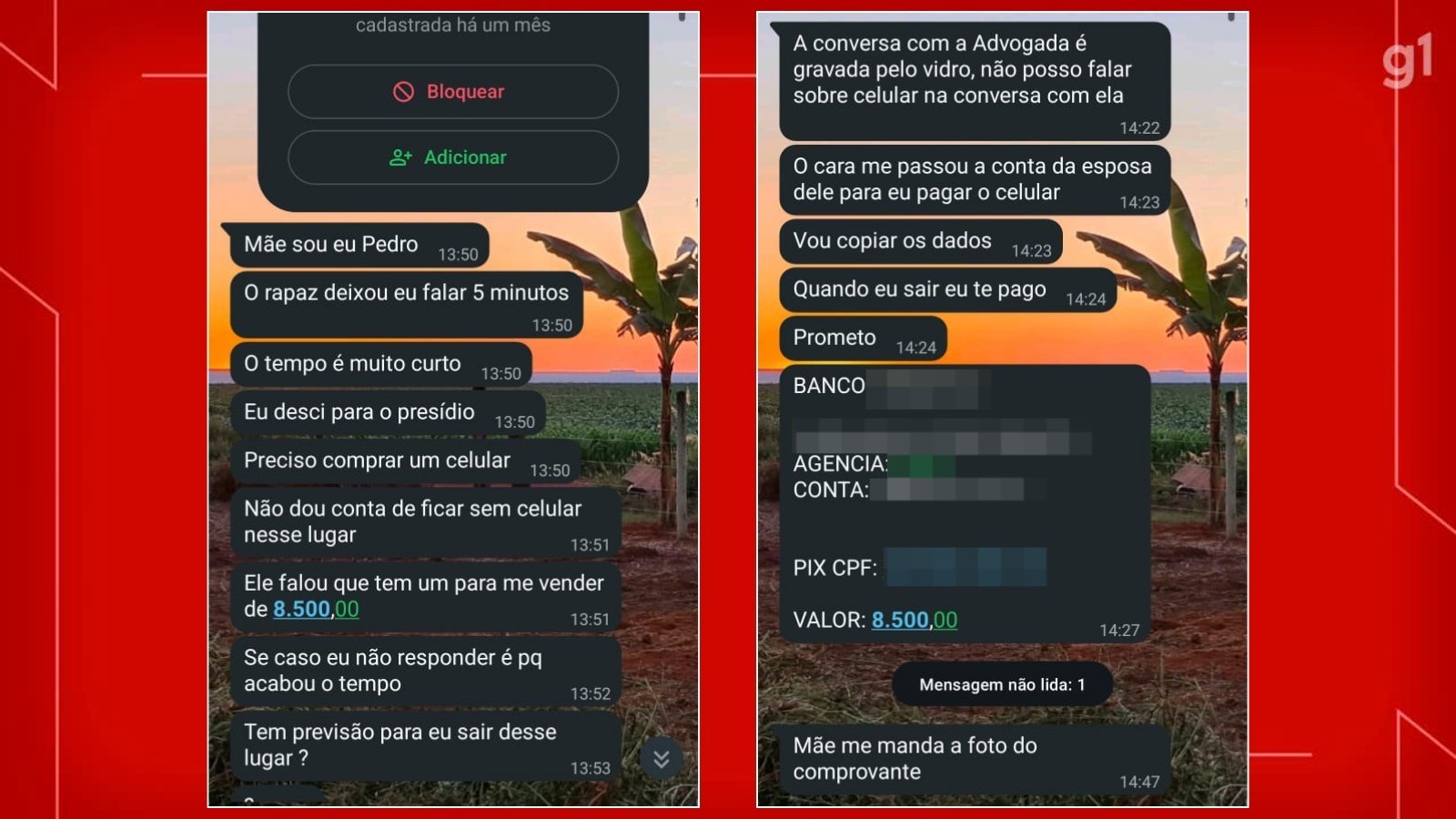 Golpistas se passam por piloto Pedro Turra, preso no DF, e tentam dar golpe na família; veja prints