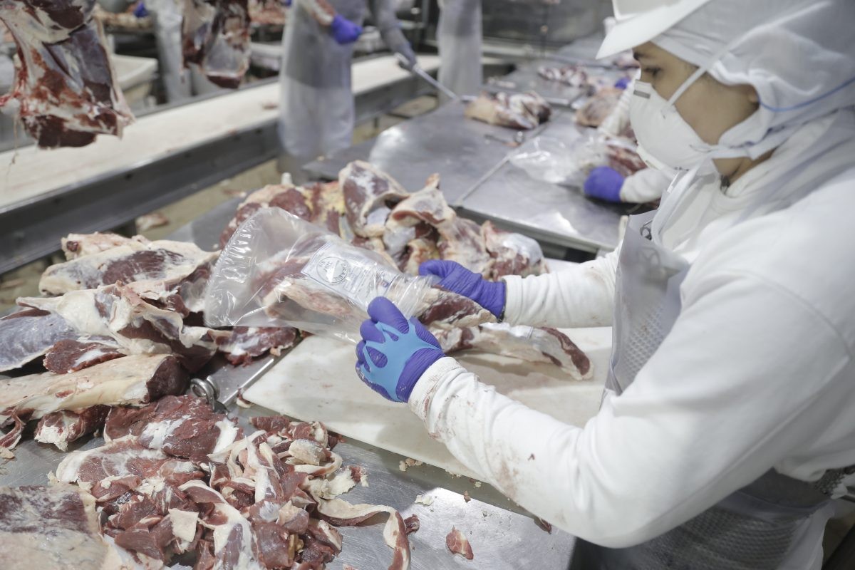 Produção de carne bovina pode chegar a 120 mil toneladas no Acre em 2024, diz estudo