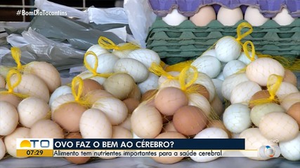 Entenda mitos e verdades sobre o consumo regular de ovos