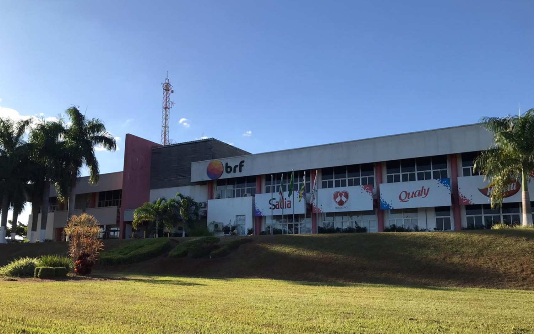 BRF abate 74 mil galinhas de forma preventiva para evitar risco de gripe aviária, em Goiás
