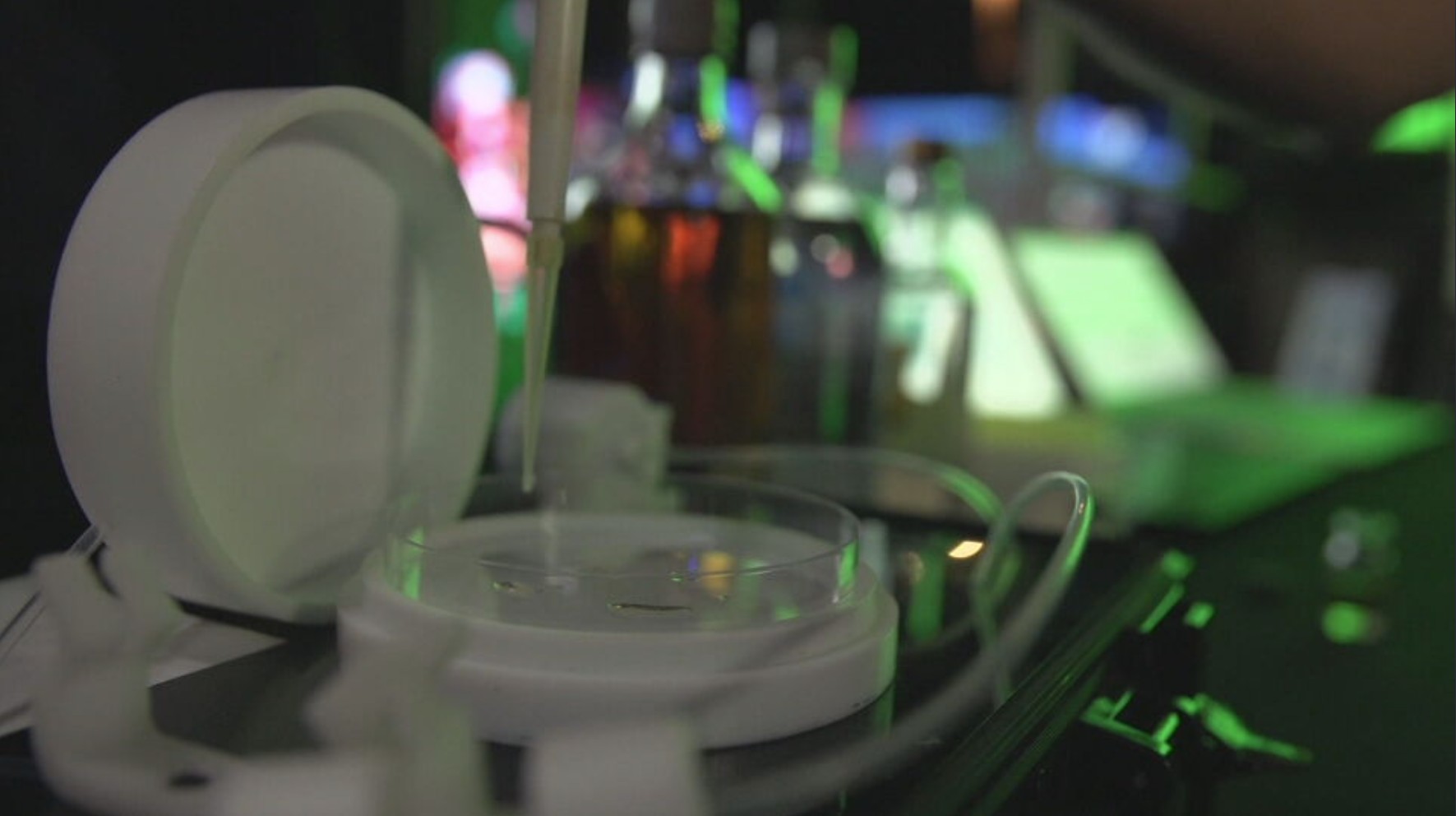 REC'n'Play: 'nariz inteligente' detecta metanol e outras substâncias tóxicas em bebidas adulteradas