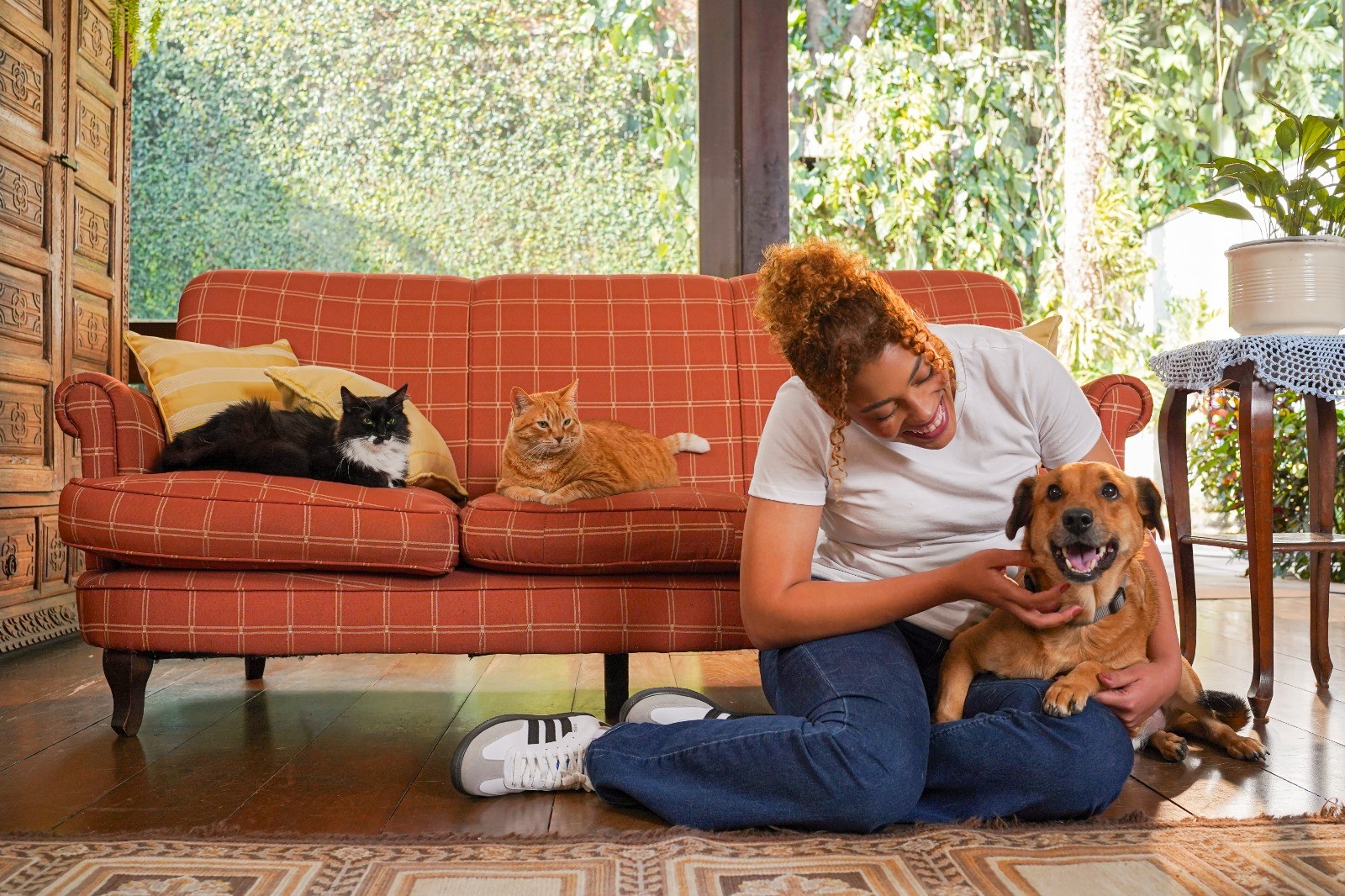 Cães e gatos ganham papéis principais em novela criada para promover adoção na web: 'Final feliz que eles merecem', detalha diretor 